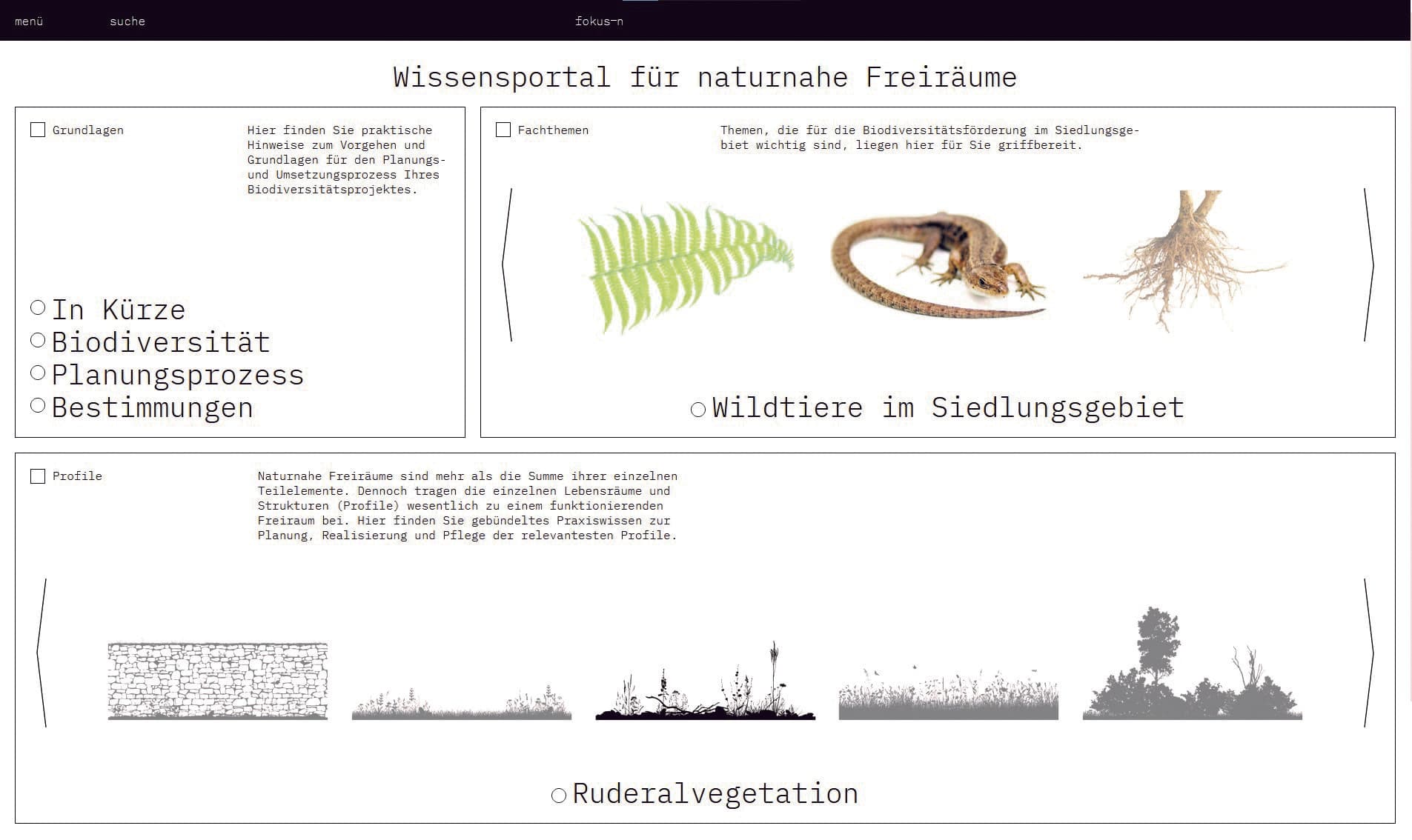 Startseite der Web-App fokus-n mit den Hauptbereichen Grundlagen, Fachthemen und Profile