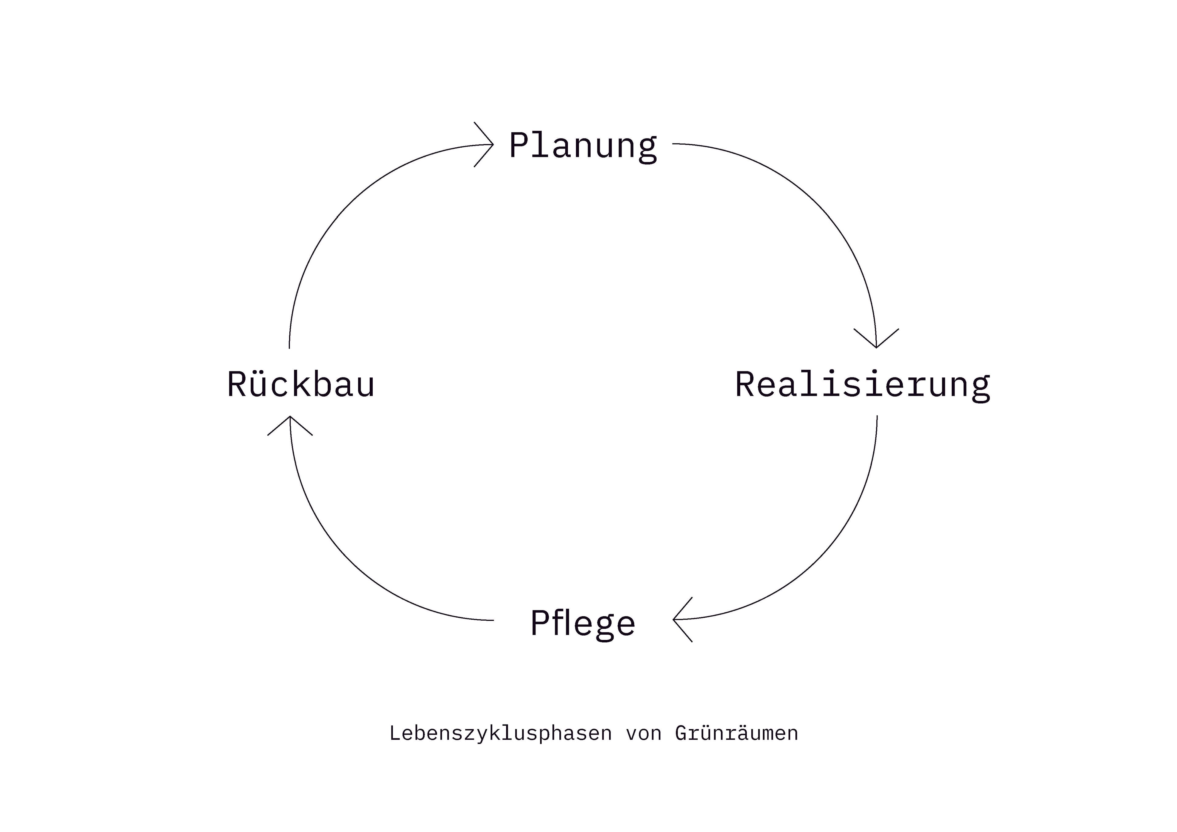 Die Lebenszyklusphasen von Grünflächen in einer Grafik: Planung, Realisierung, Pflege und Rückbau.