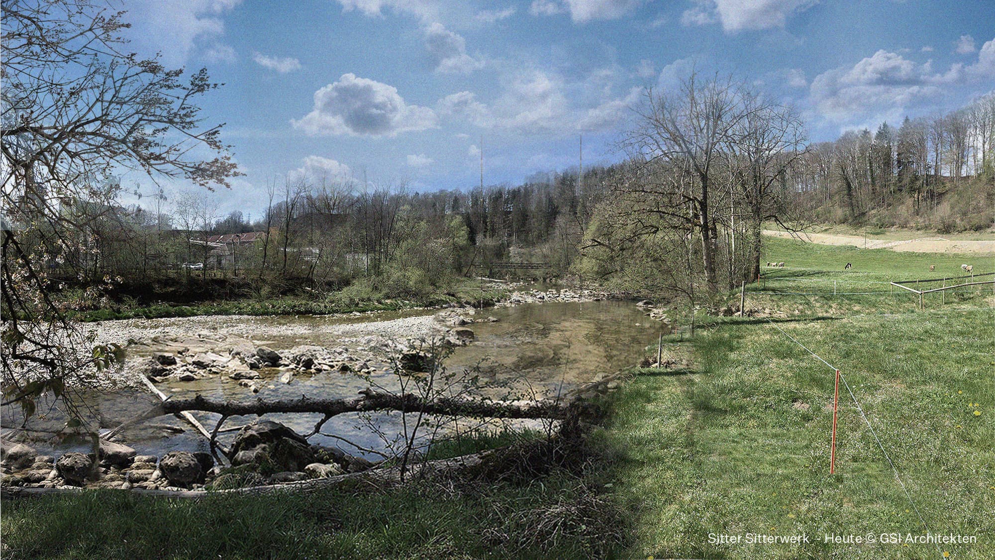 Die revitalisierte Sittersituation in der Gegenwart.