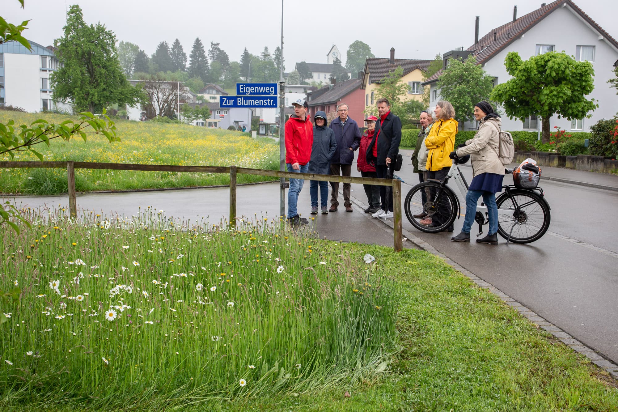 Eine Gruppe von Erwachsenen betrachtet eine Blumenwiese neben einer Strasse.