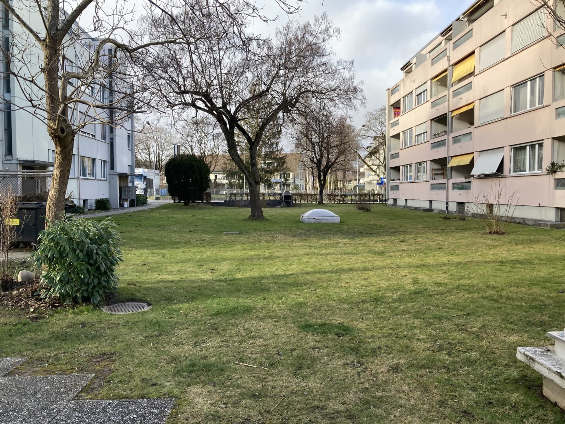Grüne Wiese mit einem Baum, umgeben von Wohnblöcken.