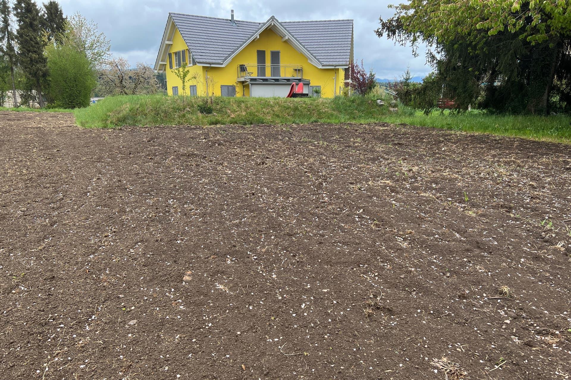 Surface prête à être ensemencée, en arrière-plan, une maison jaune