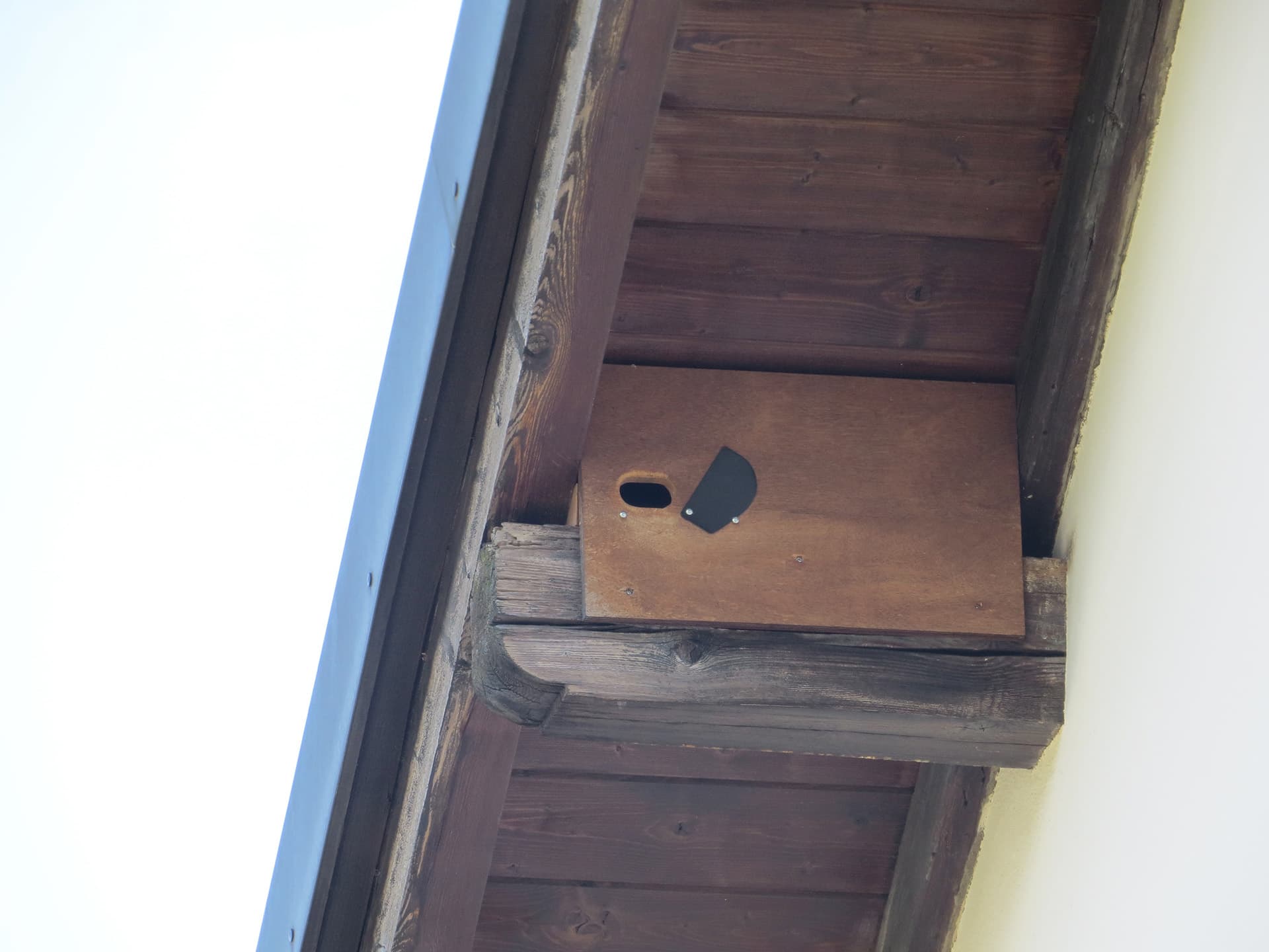 Oberer Teil eines Balkens unter einem Holzdach, verschlossen mit einer Holzplatte, in die ein Loch gebohrt wurde, um einem Mauersegler den Durchgang zu ermöglichen, damit er dort sein Nest bauen kann. Dieser Balken diente früher als Taubenstange.