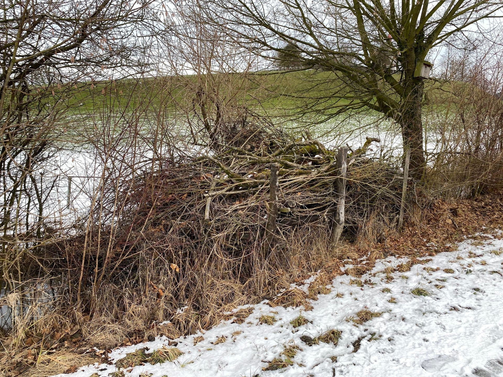 Ein Asthaufen in winterlicher Landschaft, eingebettet in eine Hecke.