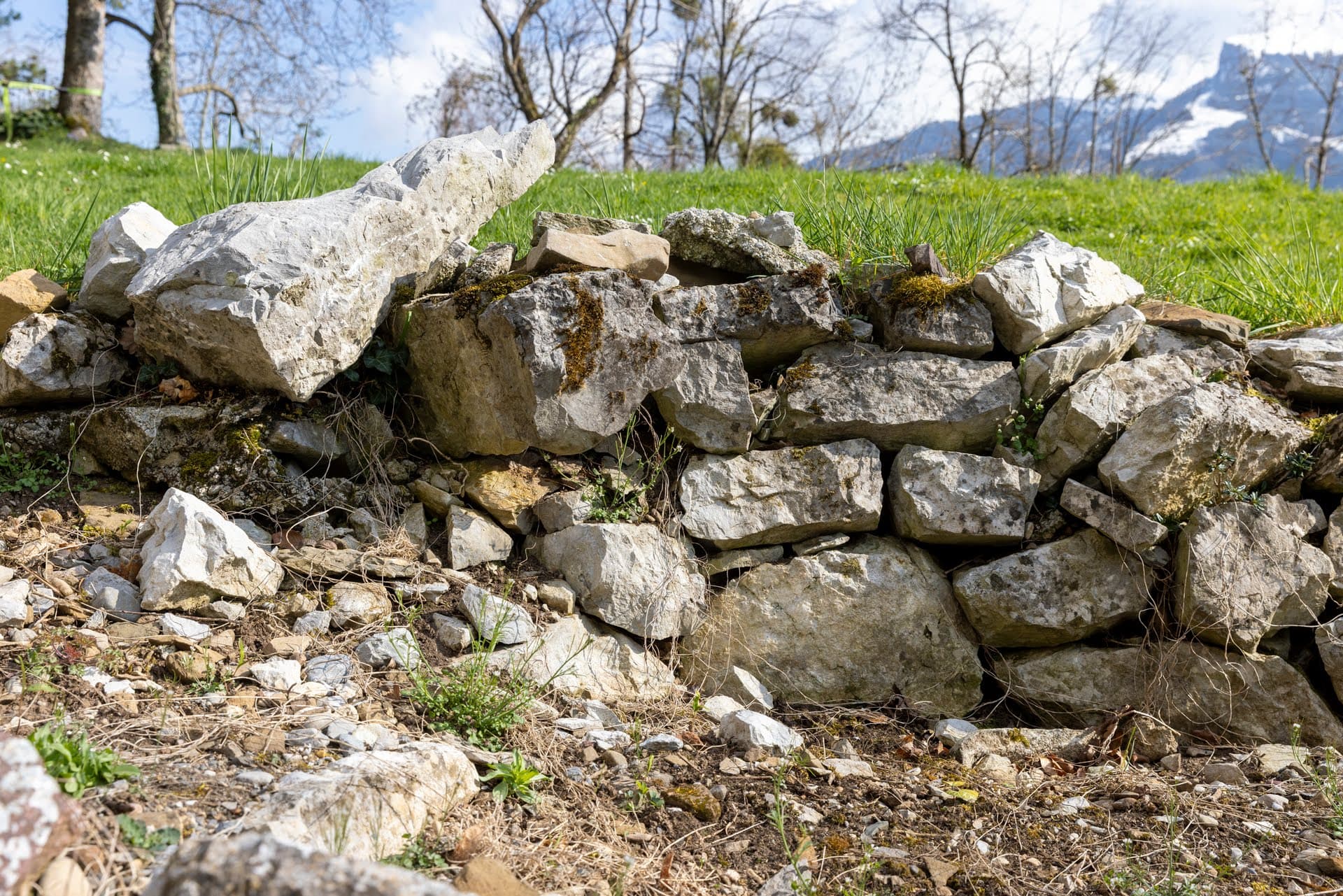 Trockensteinmauer vor einer grünen Wiese