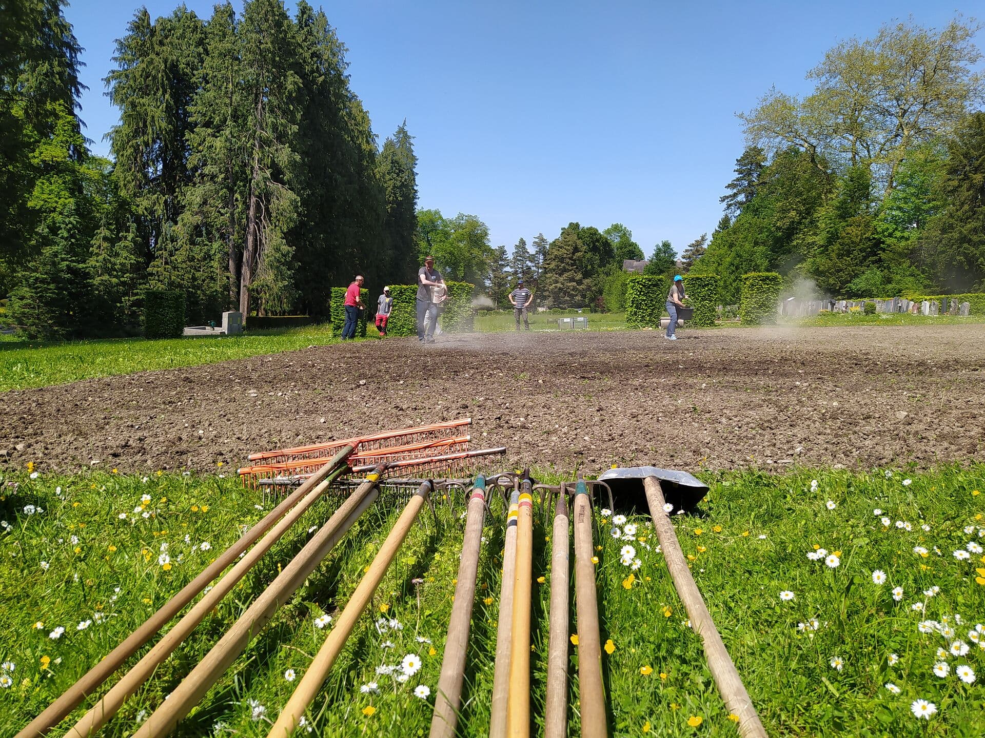 En arrière-fond, un champ est en train d'être ensemencé d'une nouvelle prairie fleurie. Au premier plan, on aperçoit des outils de jardinage.