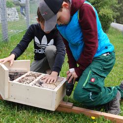 Mit dem Programm Biodiv im Naturraum Schule schaffen Kinder und Jugendliche Kleinstrukturen für Insekten und Kleintiere.