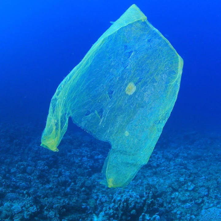Ein Plastiksack schwimmt im Meer.