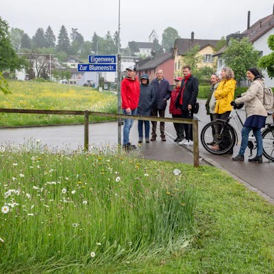 Eine Gruppe von Erwachsenen betrachtet eine Blumenwiese neben einer Strasse.