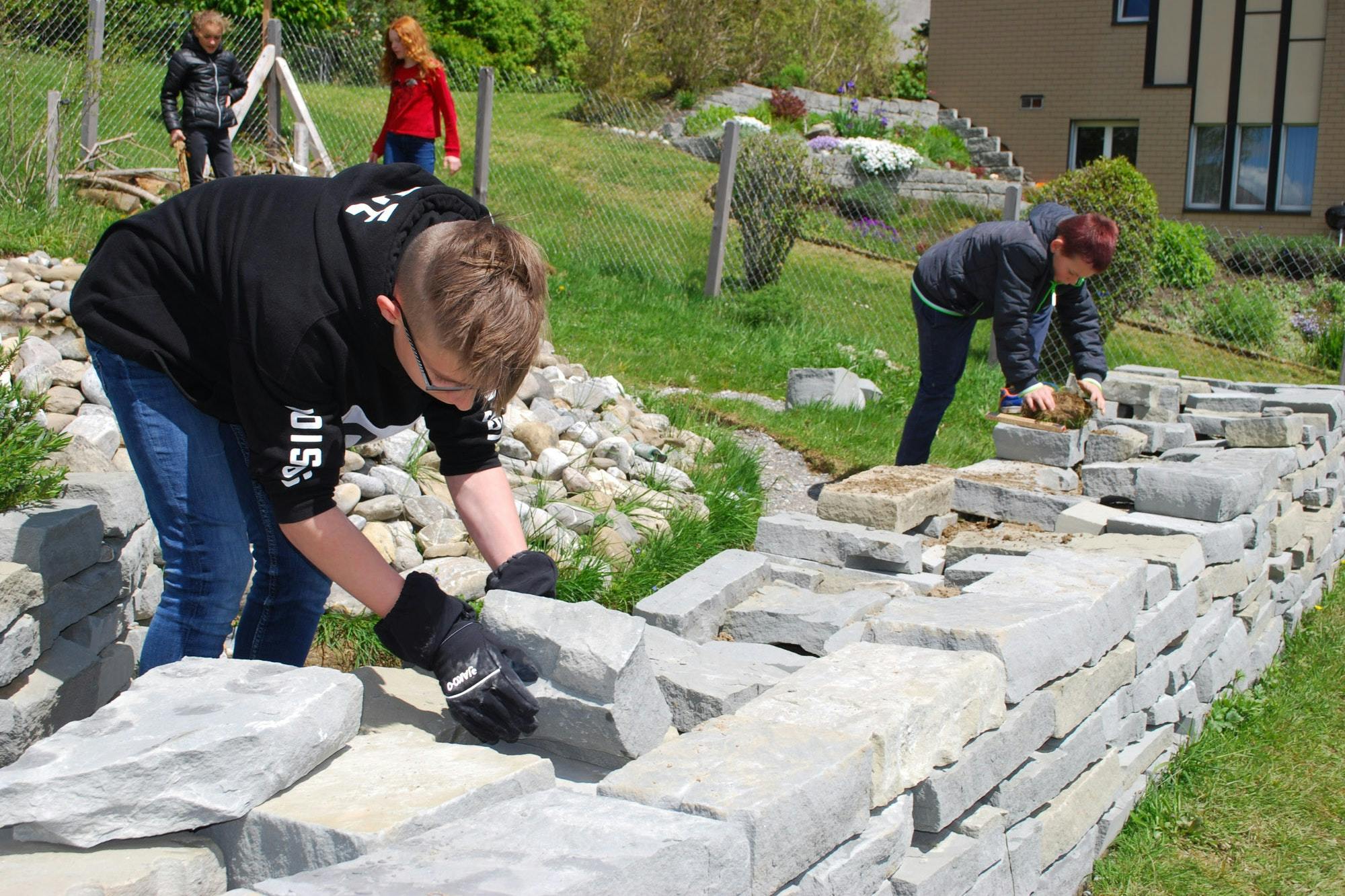 Schulkindern bauen eine Steinmauer.